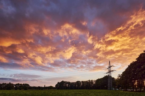 Meadow, trees, power pole, blue sky, cumulus clouds, evening light, sunset, Windmühlenweg, Gronau,