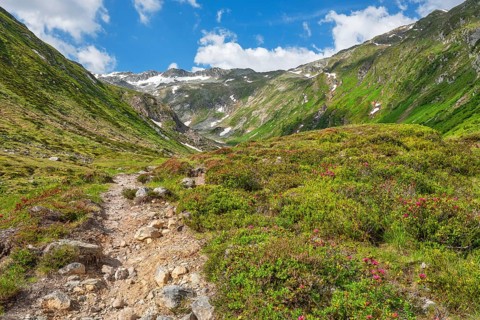 Hiking along the Mur, Murursprung, Alpenrosen, Muhr, National Park Community, UNESCO Lungau