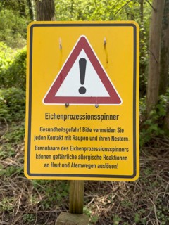 Warning sign Warning of dangerous caterpillar species Caterpillar oak processionary moth Oak