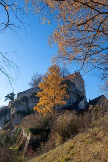 Autumnal birch (Betula) in front of Pottenstein Castle, created around 1070, Pottenstein, Upper