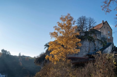 Autumnal birch (Betula) in front of Pottenstein Castle, created around 1070, Pottenstein, Upper
