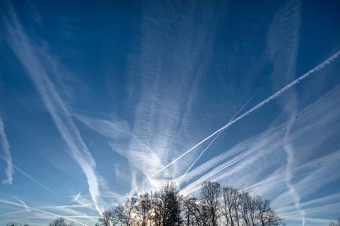 Morning sky with contrails, tree silhouettes below, Eckental, Middle Franconia, Bavaria, Germany