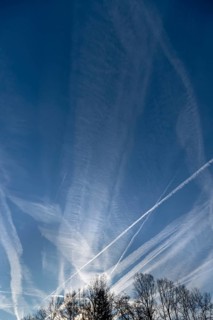 Morning sky with contrails, tree silhouettes below, Eckental, Middle Franconia, Bavaria, Germany