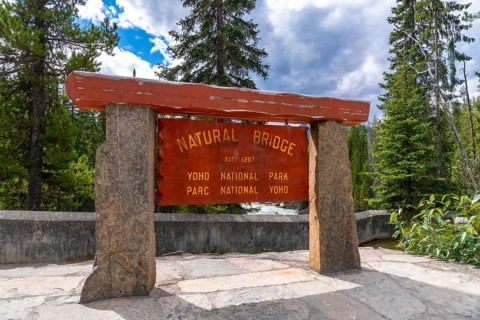 Wooden sign marking the natural bridge in yoho national park, surrounded by lush evergreens and