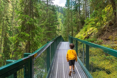 Young boy enjoying a hike, walking on a metal bridge surrounded by lush green forest in johnston
