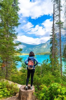 Female hiker standing on a tree stump, admiring the breathtaking view of emerald lake and