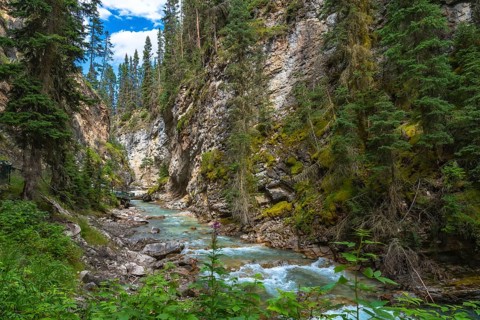Scenic view of bow river flowing through the lush green moss covered canyon walls of johnston