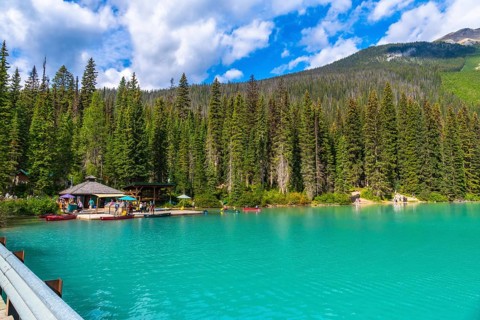 Emerald lake lodge and surrounding pine trees reflecting in the turquoise waters of emerald lake,