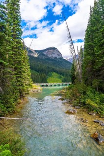 Turquoise water flows from emerald lake under a bridge and into yoho national park, framed by lush