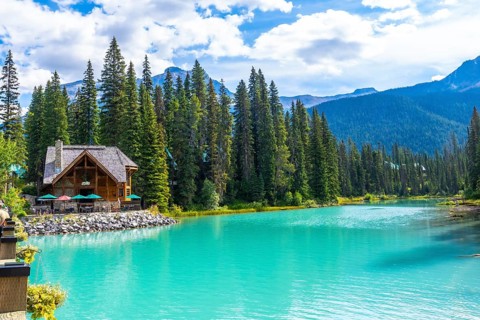 Emerald lake lodge, nestled among lush pine trees, reflects beautifully on the vibrant turquoise