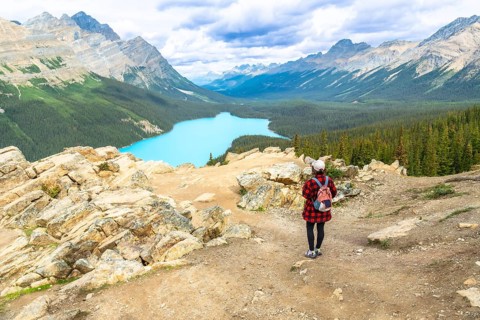 Female hiker admiring the stunning turquoise hues of peyto lake, surrounded by majestic mountains
