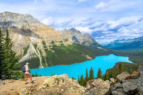 Hiker standing on a rocky outcrop, absorbing the breathtaking view of peyto lake's vibrant