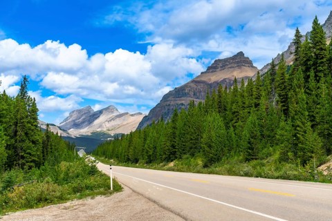 Empty highway stretching through a dense pine forest with the canadian rockies towering in the