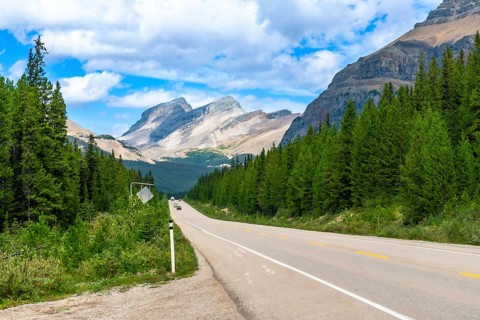 Cars driving on a scenic road leading into the majestic canadian rockies, surrounded by lush green