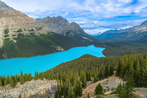Peyto lake, nestled in the canadian rockies of banff national park, features stunning turquoise