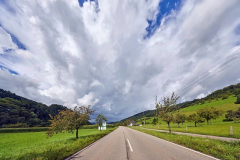 Landscape, landscape photography, hills, coniferous forest, trees, meadow, field, central