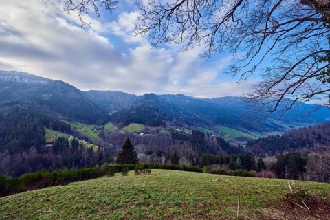 Simonswäldertal Dreitälerblick, landscape photography, landscape, hills, coniferous forest,