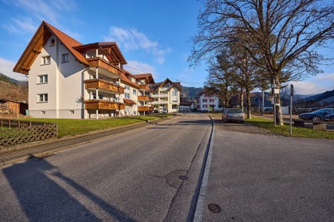 Houses, general architecture, residential buildings, apartment buildings, street, sidewalk, trees,