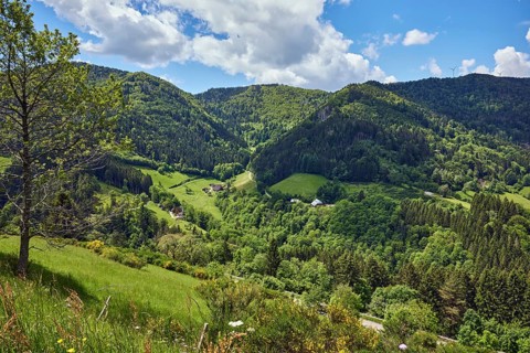 Simonswäldertal drFrühjahrslaub, eitälerblick, landscape photography, hills, hilly landscape,