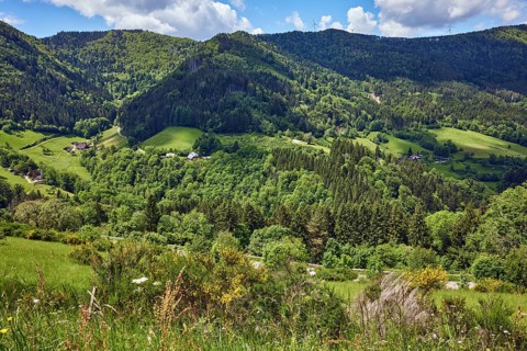 Simonswäldertal Dreitälerblick, Zweribach, landscape photography, hills, hilly landscape,