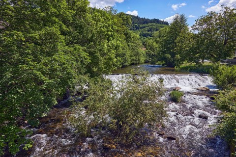 Wilde Gutach river, hills, hilly landscape, coniferous forest, trees, shrubs, wavy lively water
