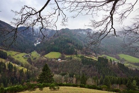 Simonswäldertal, Dreitälerblick, Wildgutach. Zweribach. Obersimonswald., hills, trees, coniferous