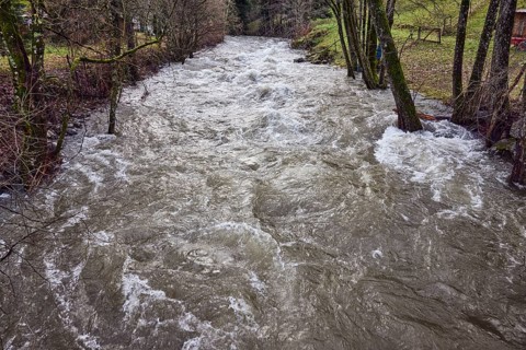 Wilde Gutach river, unpaved bank, trees, meadow, diffuse light, lively wavy water surface, diffuse