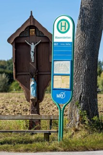 MVV bus stop at a traditional field cross, wayside cross, bench and oak (Quercus) in a field,