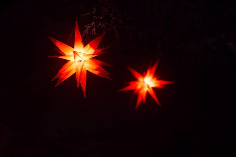 Shining stars on a tree, Raunacht, winter, Waldburg Castle, Waldburg, Allgäu, Baden-Württemberg,