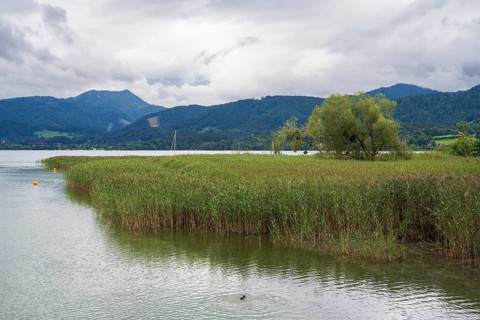 Landschaft am Tegernsee, Gmund, Upper Bavaria, Bavaria, Germany