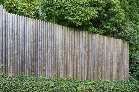 Wooden fence surrounded by bushes, palisade fence, vertical slats, Upper Bavaria, Bavaria, Germany