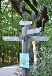 Signpost in the jungle at Großer Stern auf dem Darß, Mecklenburg-Western Pomerania, Germany