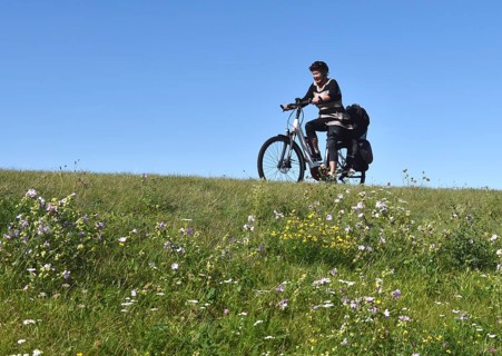 Woman riding a bicycle on a dike on the Darß peninsula, Mecklenburg-Western Pomerania, Germany