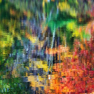 Trees reflected in water surface, riverbank, river landscape, bright autumn leaves, Indian summer,