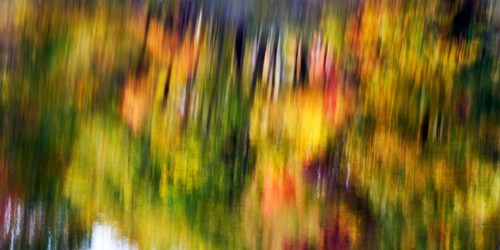 Trees reflected in water surface, riverbank, river landscape, glowing autumn leaves, Indian summer,