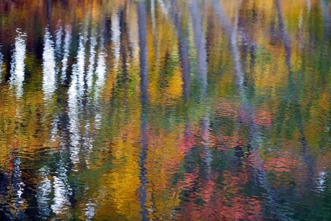 Trees reflected in water surface, riverbank, river landscape, autumn leaves, Indian summer, Maine,