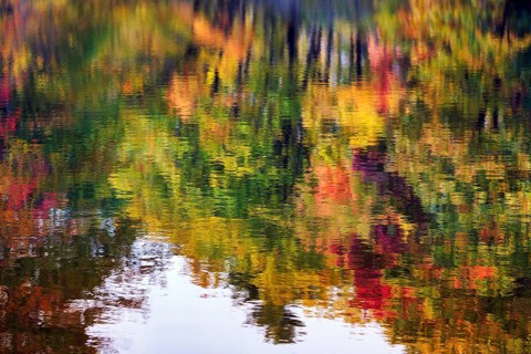 Trees reflected in water surface, riverbank, river landscape, colorful autumn leaves, Indian