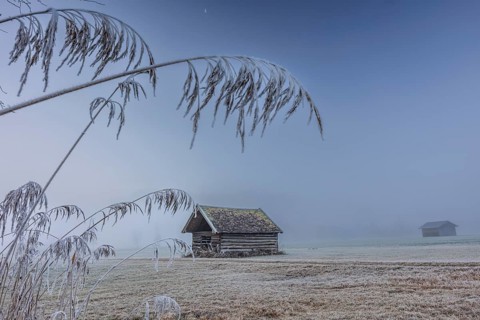 Hut, wooden hut, grasses, frost, hoarfrost, cold, winter, fog, high fog, mountains, Loisach-Lake