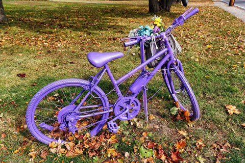 Purple painted bicycle with flowers, decoration, autumn leaves in a meadow, Ogunquit, Maine, New