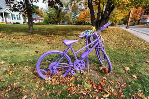 Purple painted bicycle with flowers, roadside decoration, autumn leaves in meadow, Ogunquit, Maine,