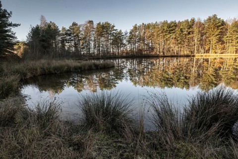 Former quarry lake, Emsland, Lower Saxony, Germany