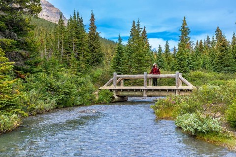 Female tourist is enjoying the breathtaking view from a wooden bridge over a clear stream,