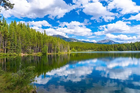 Calm water reflects the blue sky and white clouds over herbert lake with coniferous trees and