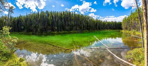 Panoramic view of the crystal clear waters of herbert lake reflecting the sky and surrounding