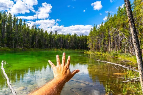 Hand reaching out to the turquoise water of herbert lake, surrounded by a lush forest, under a