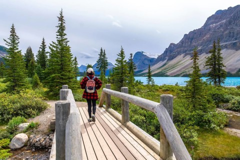 Female tourist walking on a wooden bridge and enjoying the breathtaking view of bow lake and