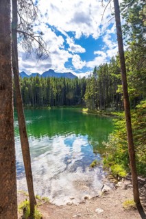Emerald green waters of herbert lake reflecting a cloudy blue sky and surrounding pine forest with