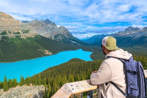 Tourist with backpack enjoying the breathtaking panoramic view of the turquoise peyto lake and