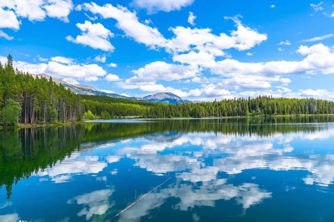 Calm waters reflecting a stunning cloudy sky over herbert lake, surrounded by lush pine forests and
