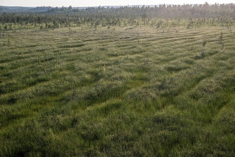 Extensive moorland taken from an elevated position, near Vianaavan Lintutorni, Ravaniemi,